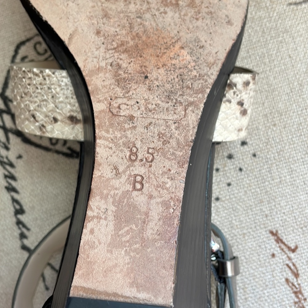 Coach sandals - Velvet - Picture 6 of 7